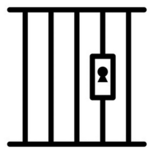 Prison fence vinyl - fence,